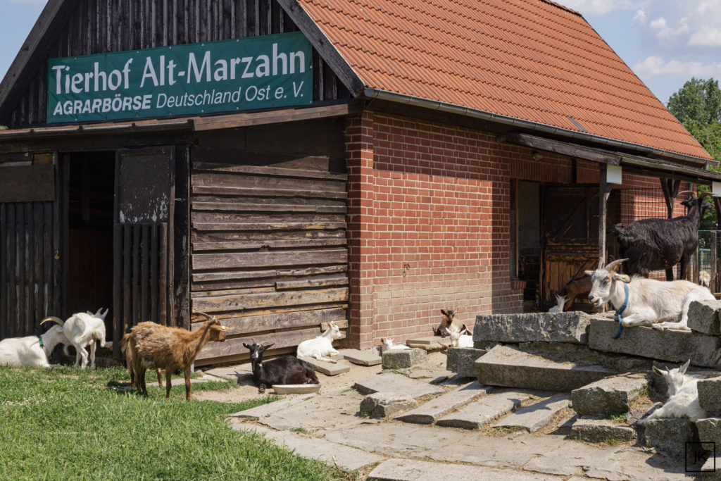 Tierhof Alt-Marzahn