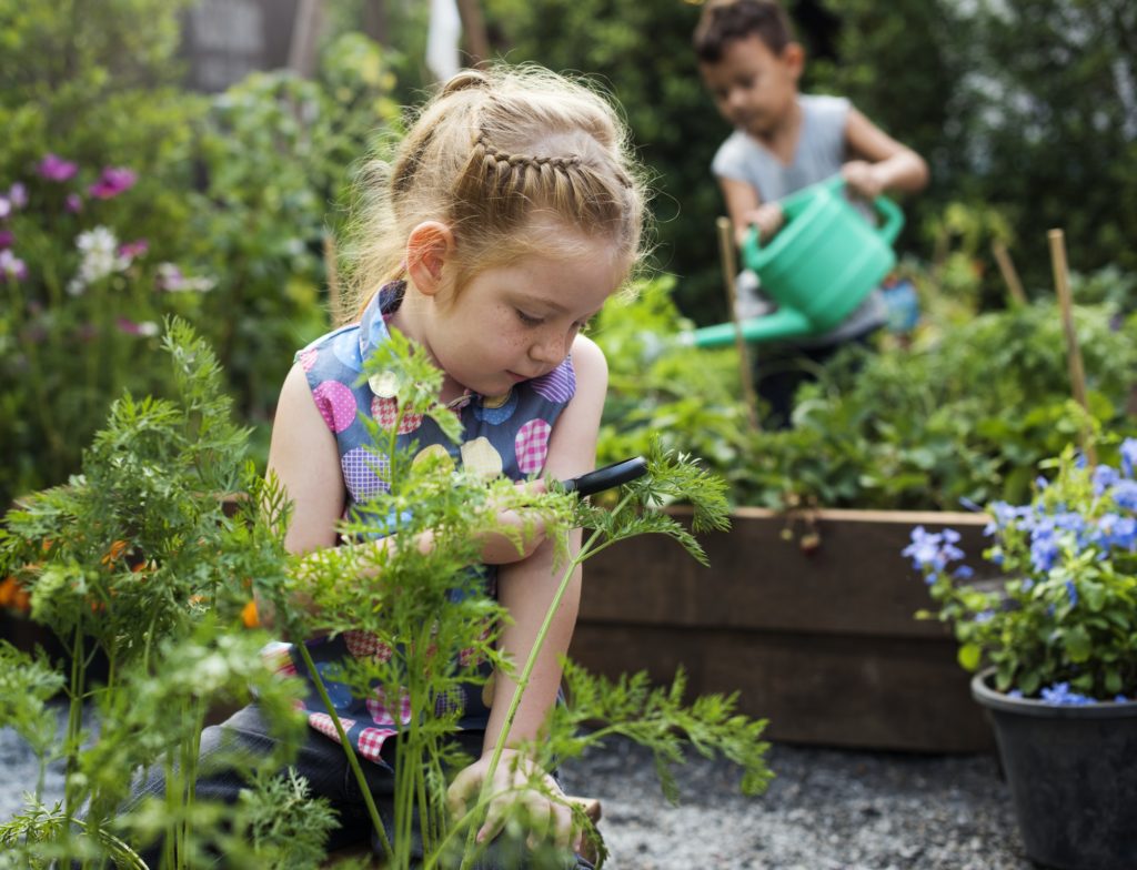 Little girl learning how to plant