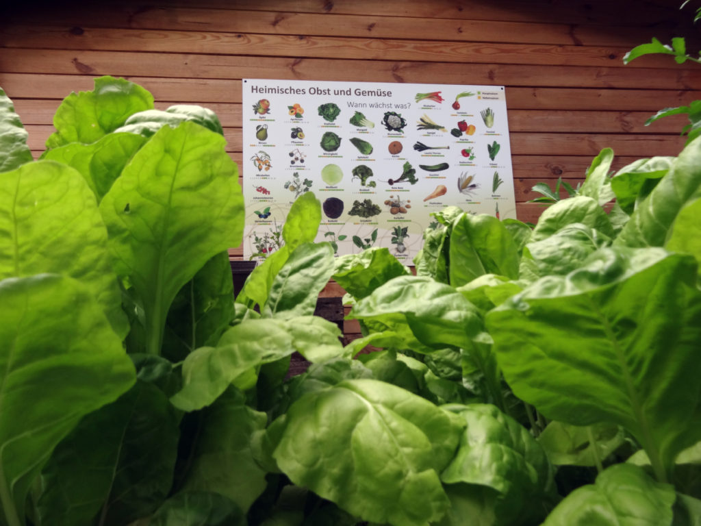 Umweltbüro Pankow Lehrpfad