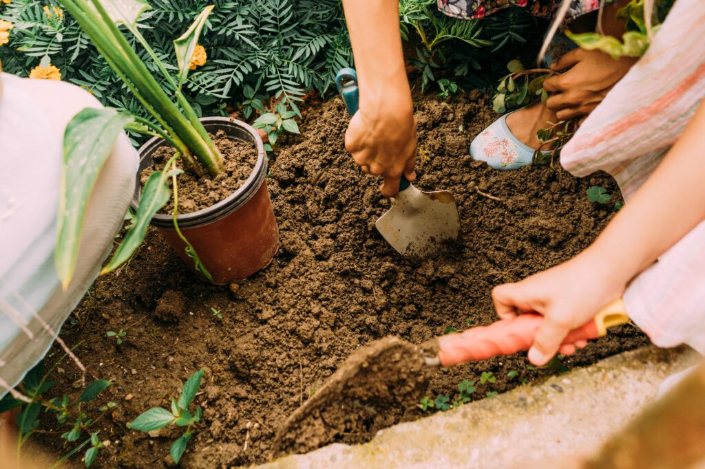 children dig a garden bed to plant a plant